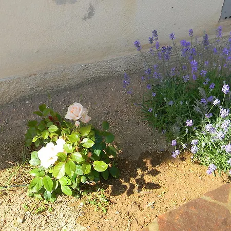 Eta Beta Sardinia קאפוטרה